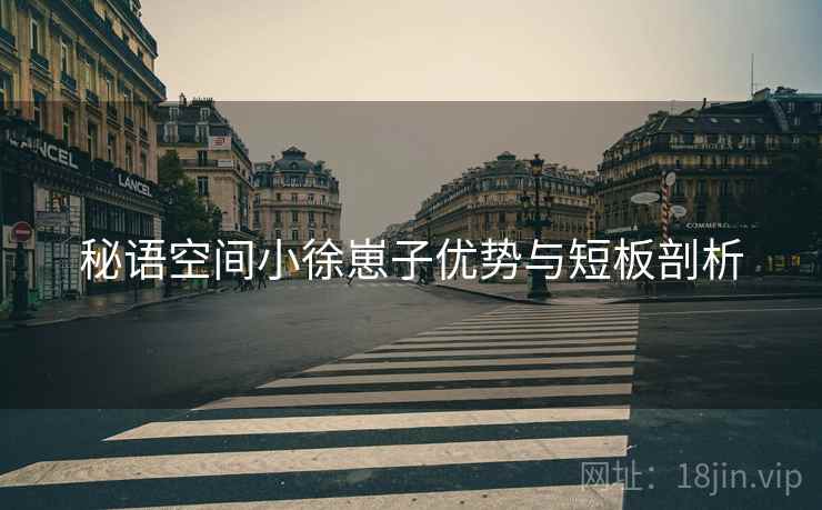 秘语空间小徐崽子优势与短板剖析