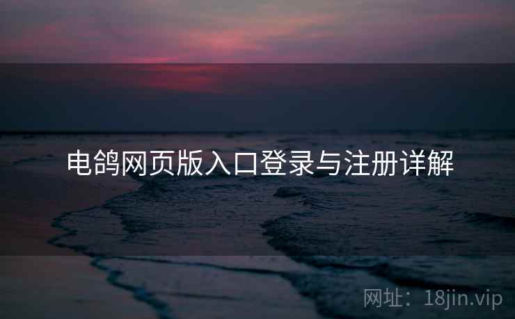 电鸽网页版入口登录与注册详解