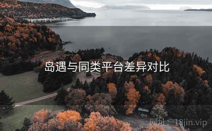 岛遇与同类平台差异对比