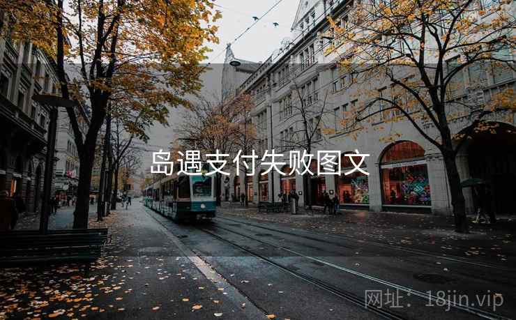 岛遇支付失败图文