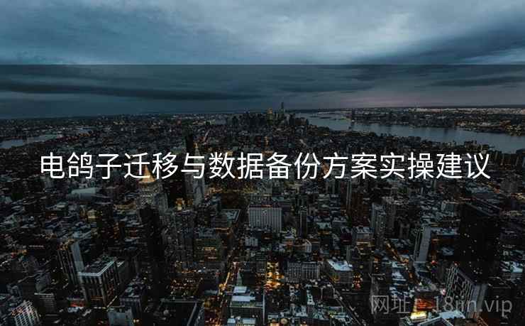 电鸽子迁移与数据备份方案实操建议