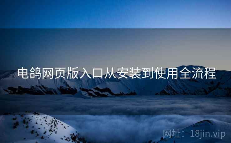 电鸽网页版入口从安装到使用全流程