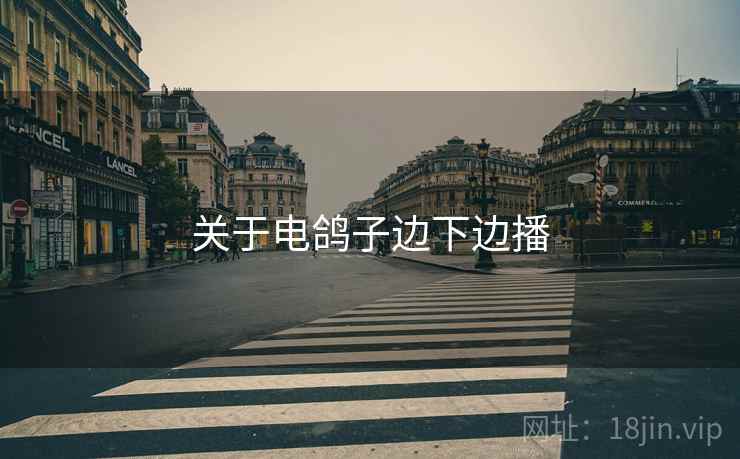 关于电鸽子边下边播