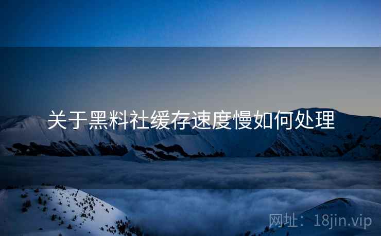 关于黑料社缓存速度慢如何处理