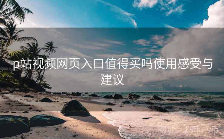 p站视频网页入口值得买吗使用感受与建议
