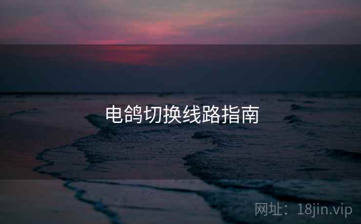 电鸽切换线路指南