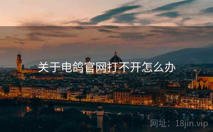 关于电鸽官网打不开怎么办