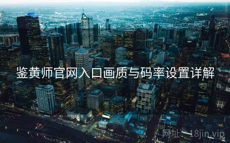 鉴黄师官网入口画质与码率设置详解