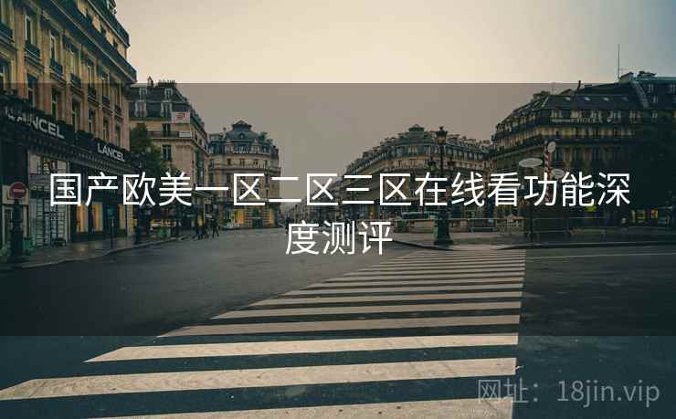国产欧美一区二区三区在线看功能深度测评