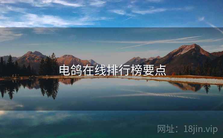 电鸽在线排行榜要点