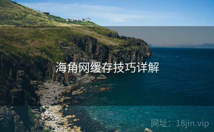 海角网缓存技巧详解