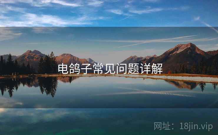 电鸽子常见问题详解